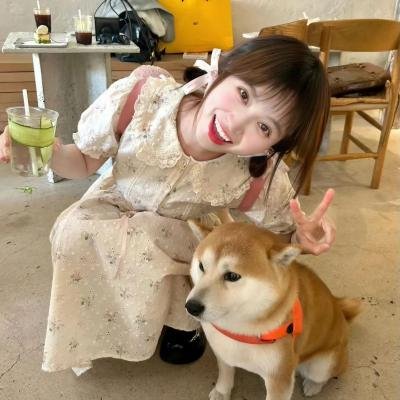 花田喜事国语